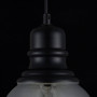 Подвесной светильник Maytoni Danas T162-11-B